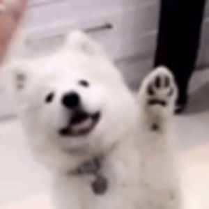 Meet your Posher, Cheeri